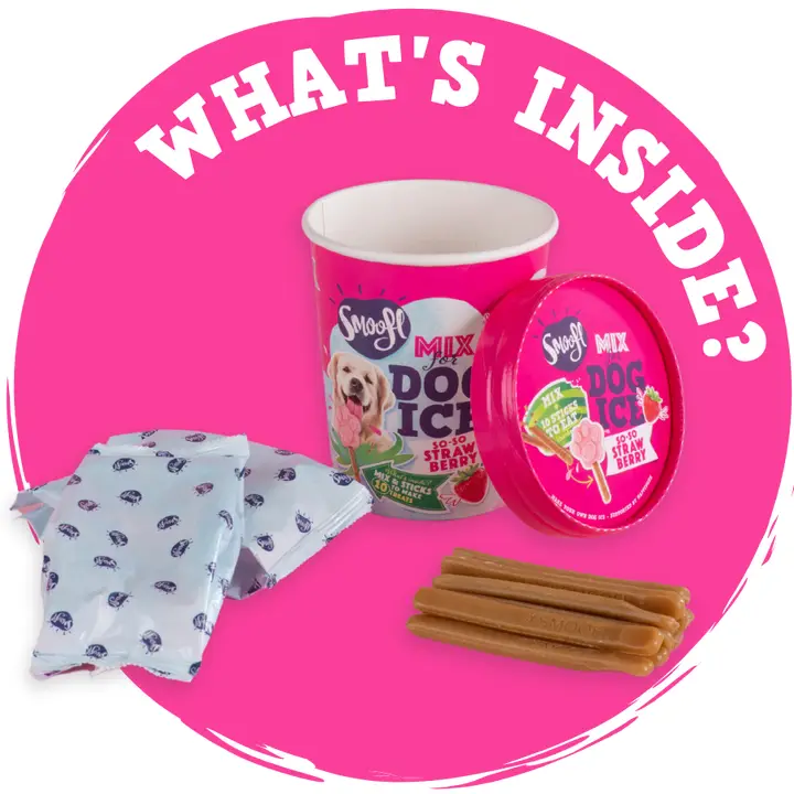 Mélange pour glace à chien - Image 5